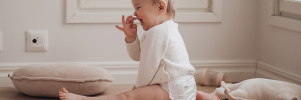 Medium (4-8kgs)