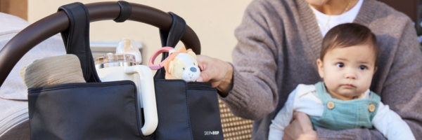 Stroller Bags & Accessories
