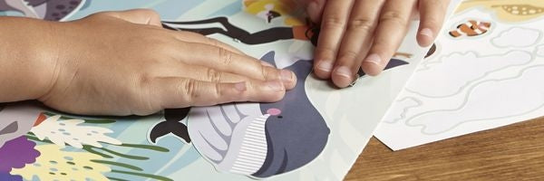 Sticker Books