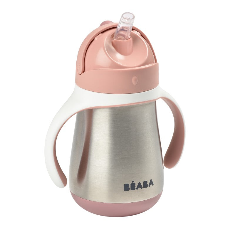 Stainless Steel Straw Sippy Cup