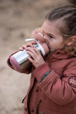 Stainless Steel Spout Bottle 350ml