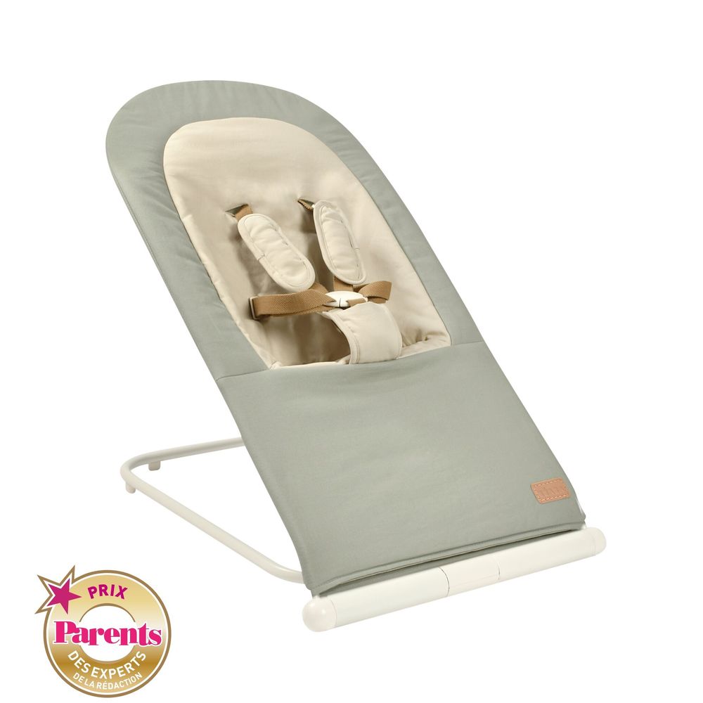 Beaba Easy Relax Foldable Bouncer - Seagrass