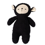 Buddy - Sheep