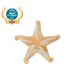 Plush Toy - Sunny the Starfish