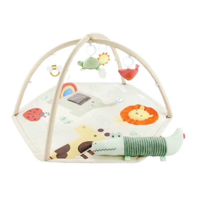 Geometric Wonders Activity Gym