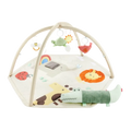 Geometric Wonders Activity Gym