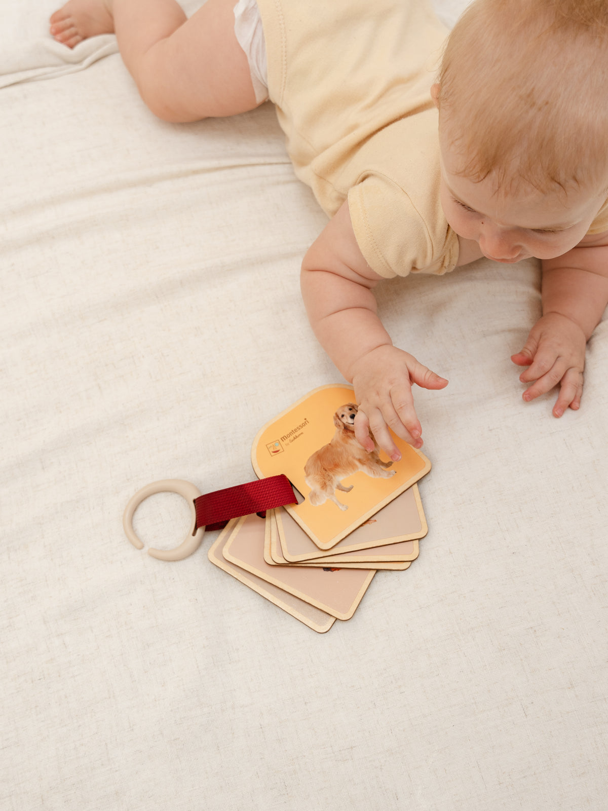 Montessori by Eichhorn Picture Book