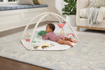 Geometric Wonders Activity Gym
