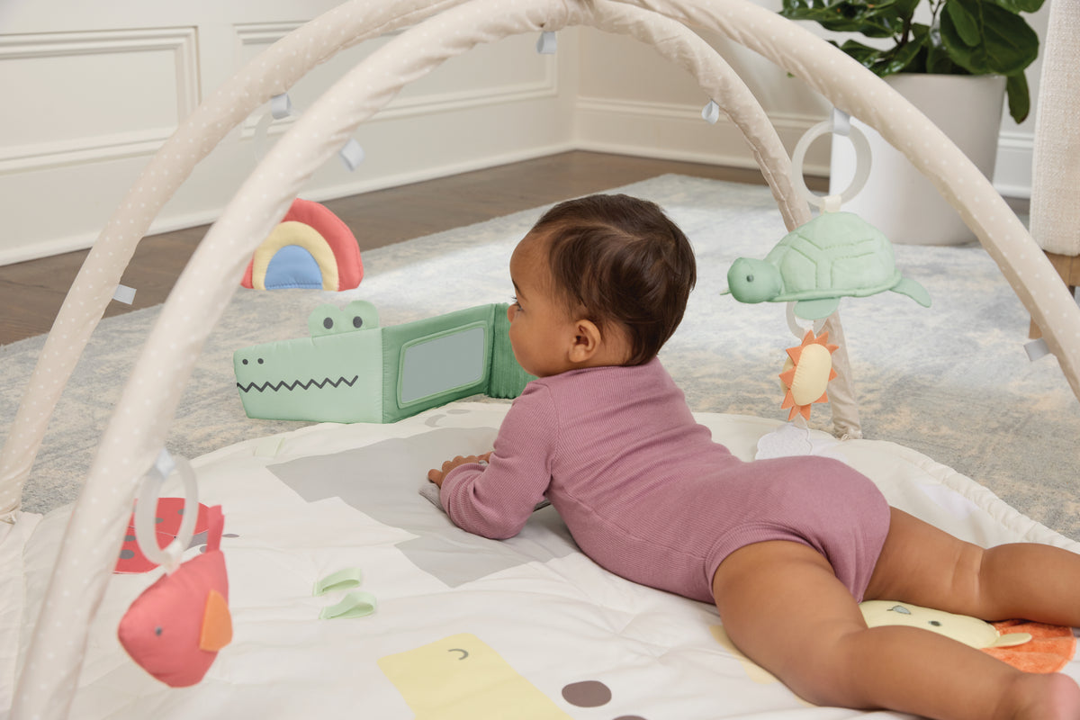 Geometric Wonders Activity Gym