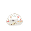 Geometric Wonders Activity Gym