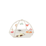 Geometric Wonders Activity Gym