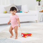 Explore & More - Fox Xylophone
