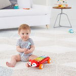 Explore & More - Fox Xylophone