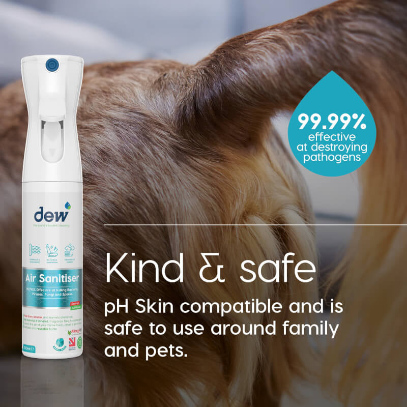 dew Air Deodoriser 300ml