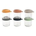 Glass & Silicone Containers 6 Pack - 250ml