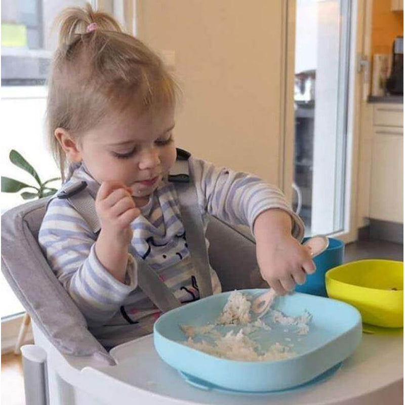 Beaba Silicone Suction Plate