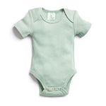 Bodywear Short Sleeve Bodysuit