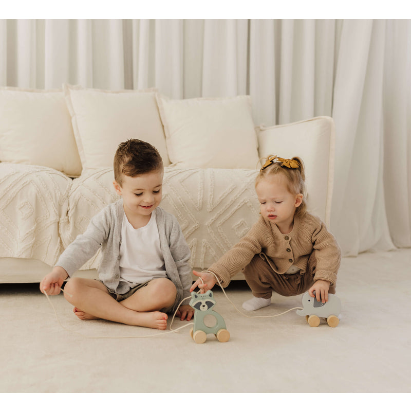 Bubble  Wooden Elephant Pull Along Toy