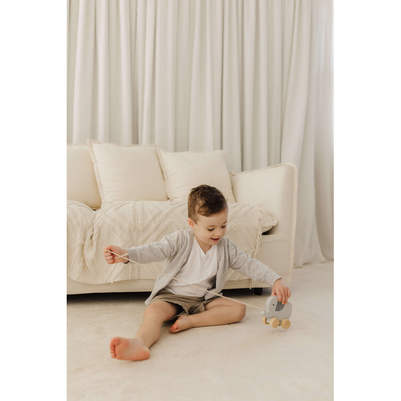 Bubble  Wooden Elephant Pull Along Toy