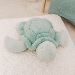 Plush Toy - Toby The Turtle