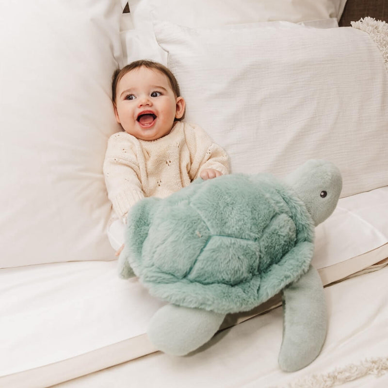 Plush Toy - Toby The Turtle