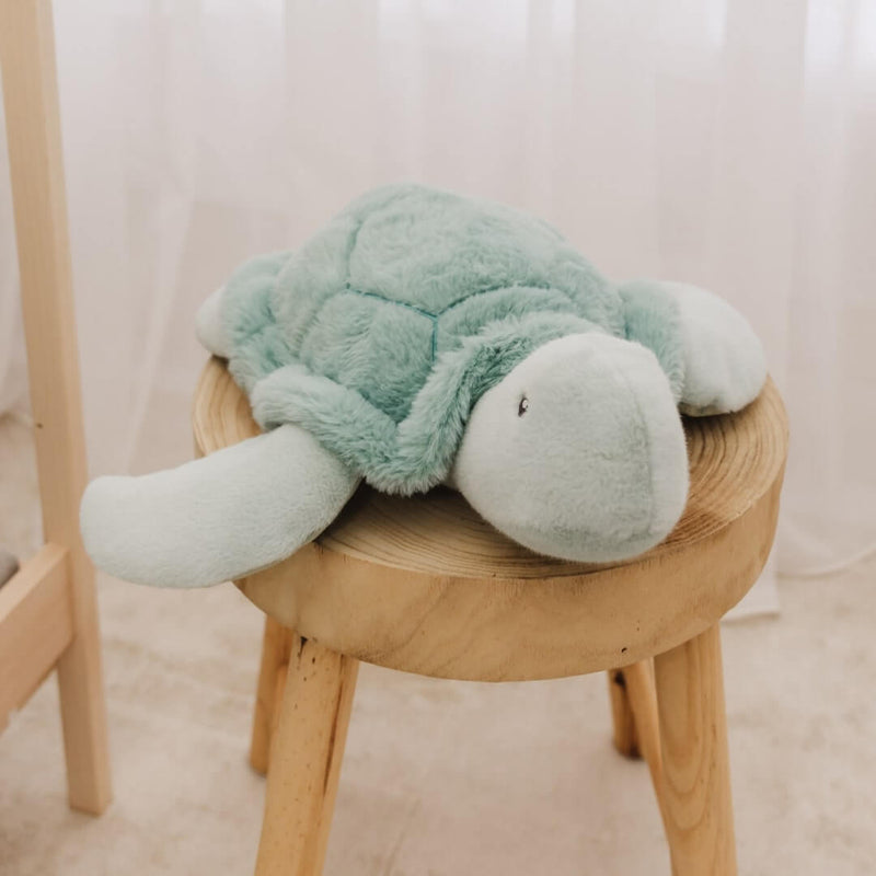 Plush Toy - Toby The Turtle
