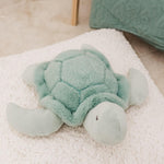 Plush Toy - Toby The Turtle