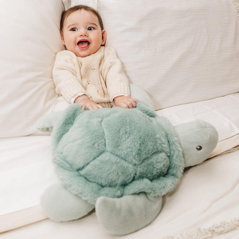 Plush Toy - Toby The Turtle