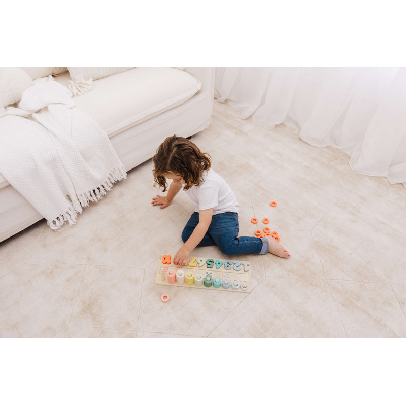 Wooden Numbers & Blocks Counting Set