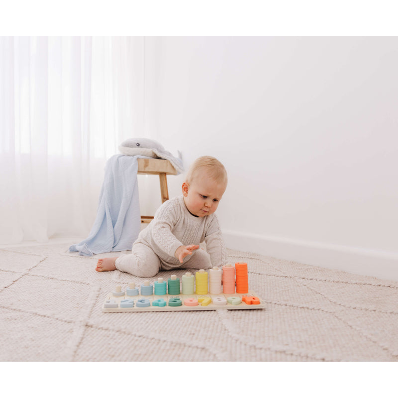 Wooden Numbers & Blocks Counting Set