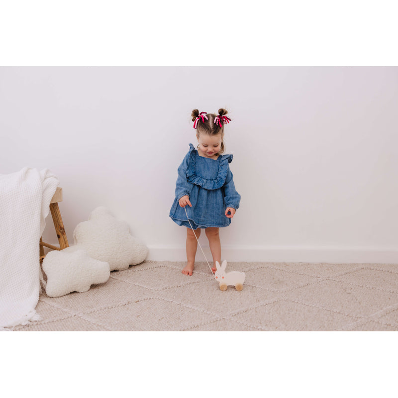 Wooden Pull Along - Rabbit