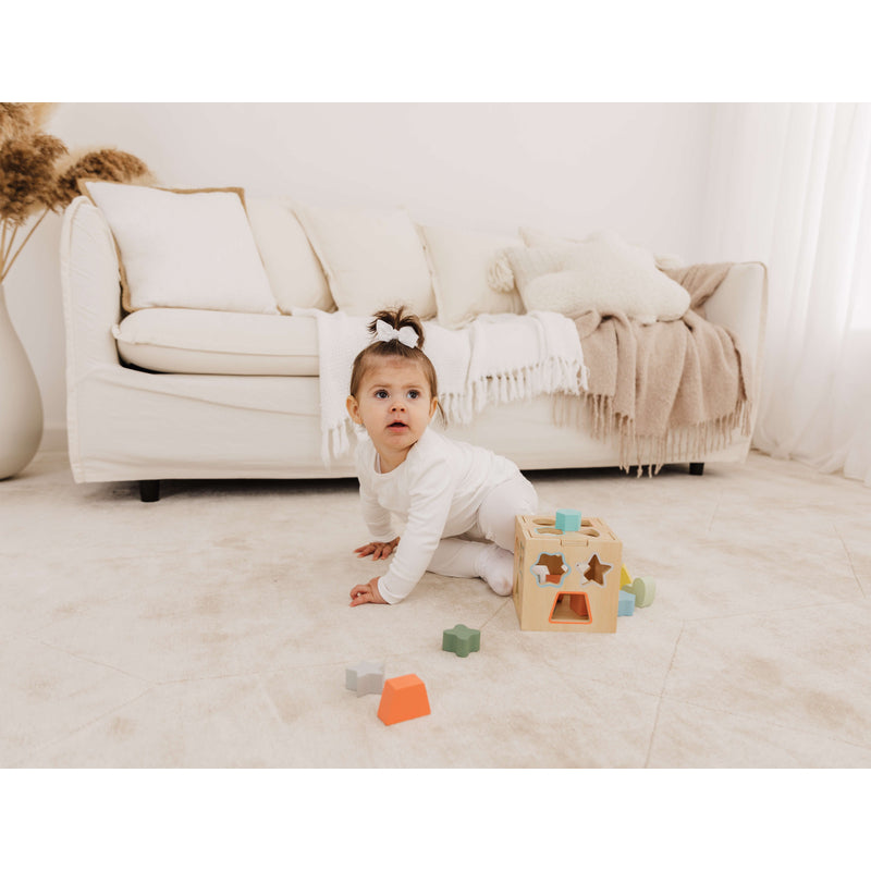 Wooden Shape Sorting Cube