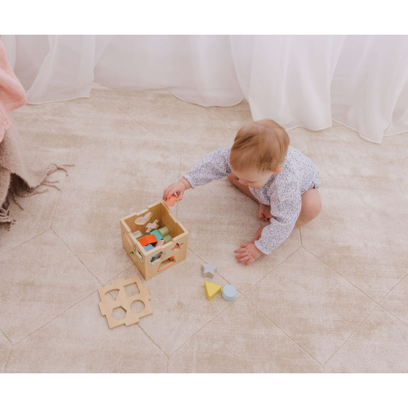 Wooden Shape Sorting Cube