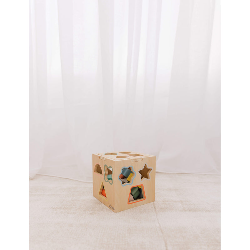 Wooden Shape Sorting Cube