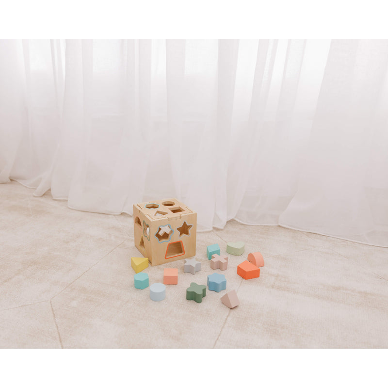 Wooden Shape Sorting Cube