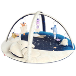 Celestial Dreams Activity Gym