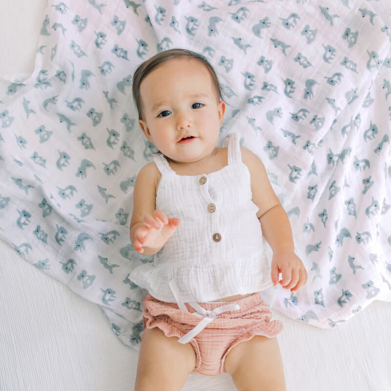 aden + anais Classic Swaddles 4-Pack - Now+Zen