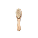 Cradle Cap Kit