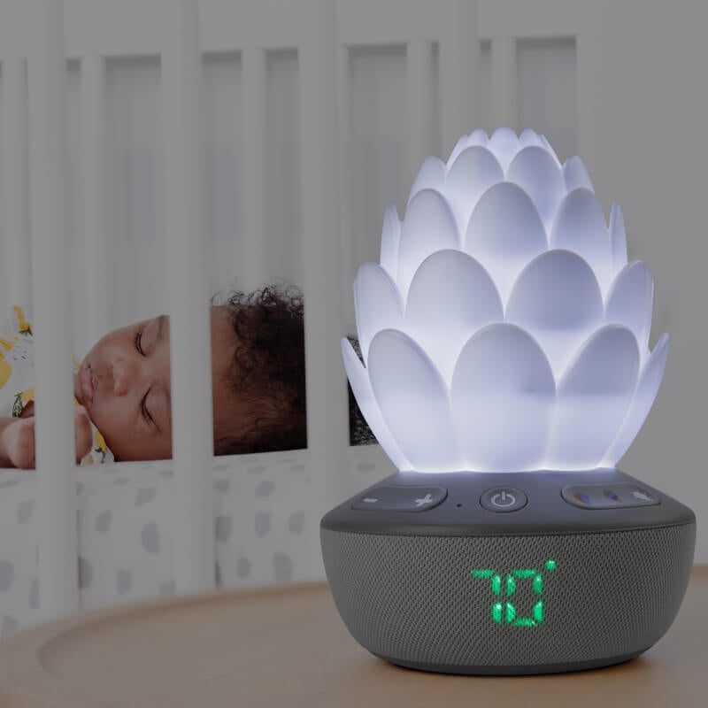 Cry-Activated Soother - Terra