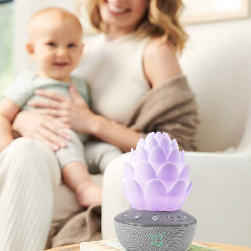 Cry-Activated Soother - Terra