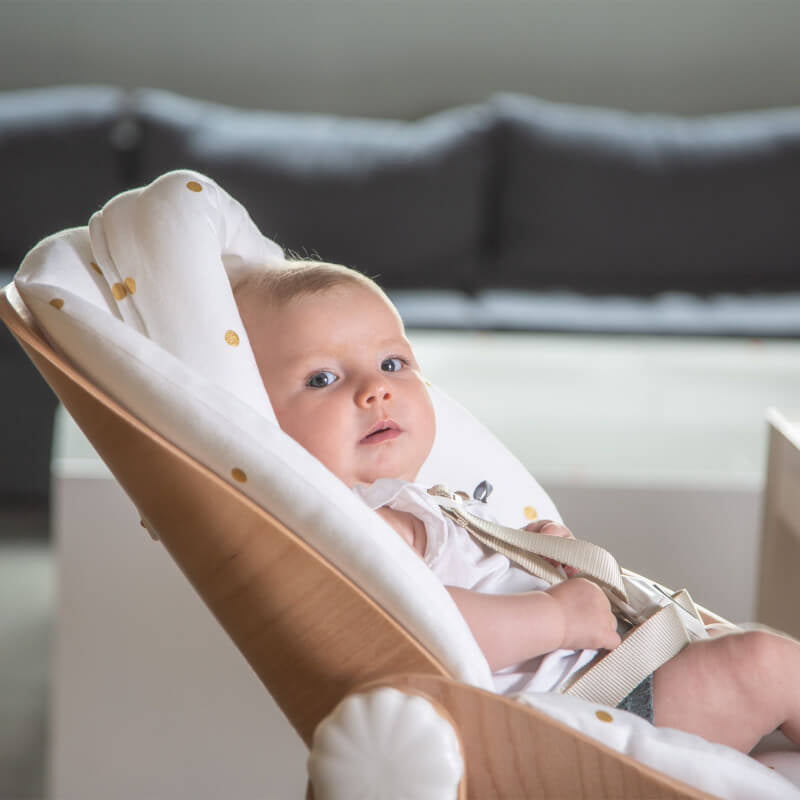 Evolu Newborn Seat For Evolu 2 / Evolu One.80°