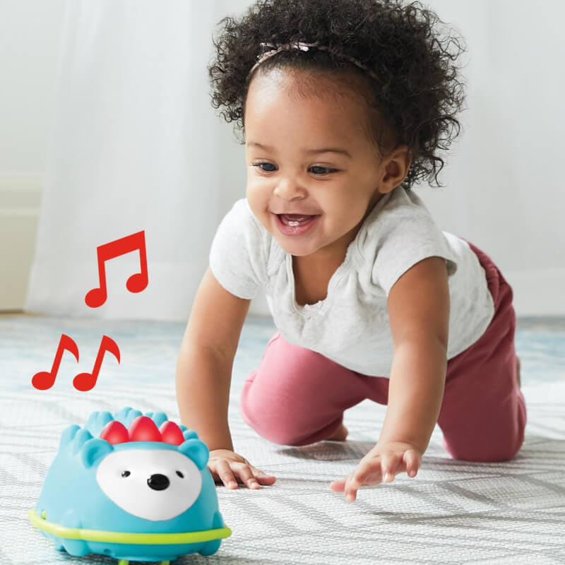 Skip Hop Explore & More Hello Hedgehog Crawl Toy