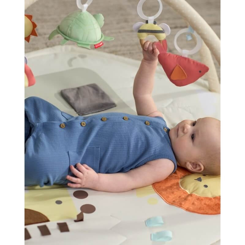 Geometric Wonders Activity Gym