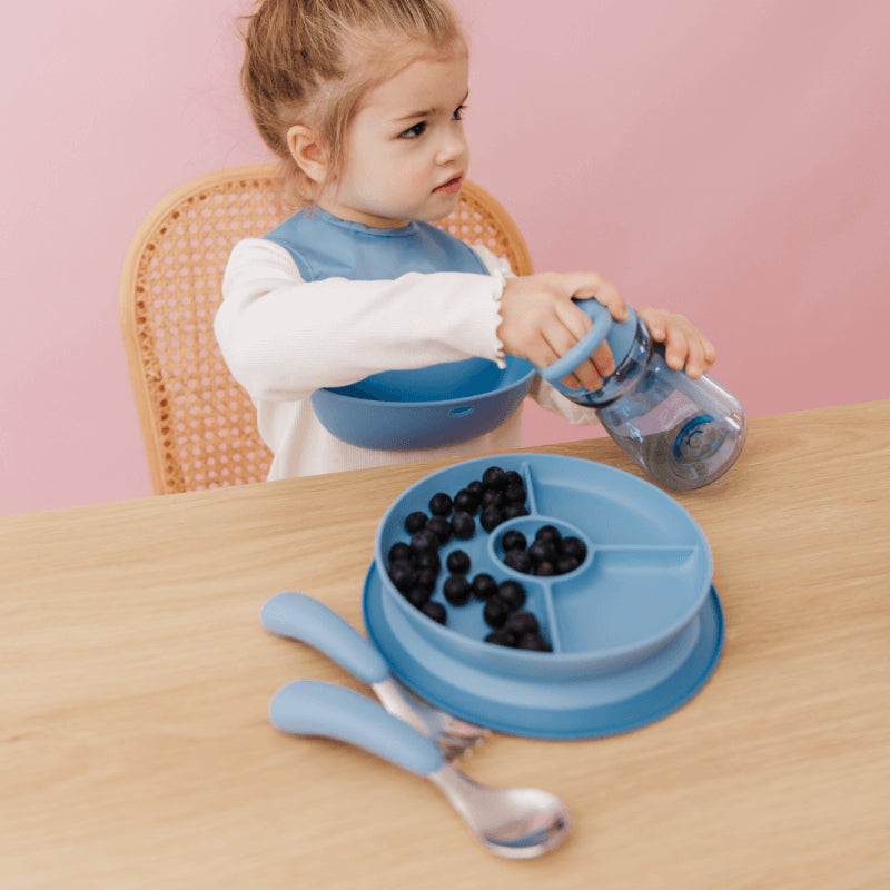 OXO Tot Stick & Stay Suction Divided Plate
