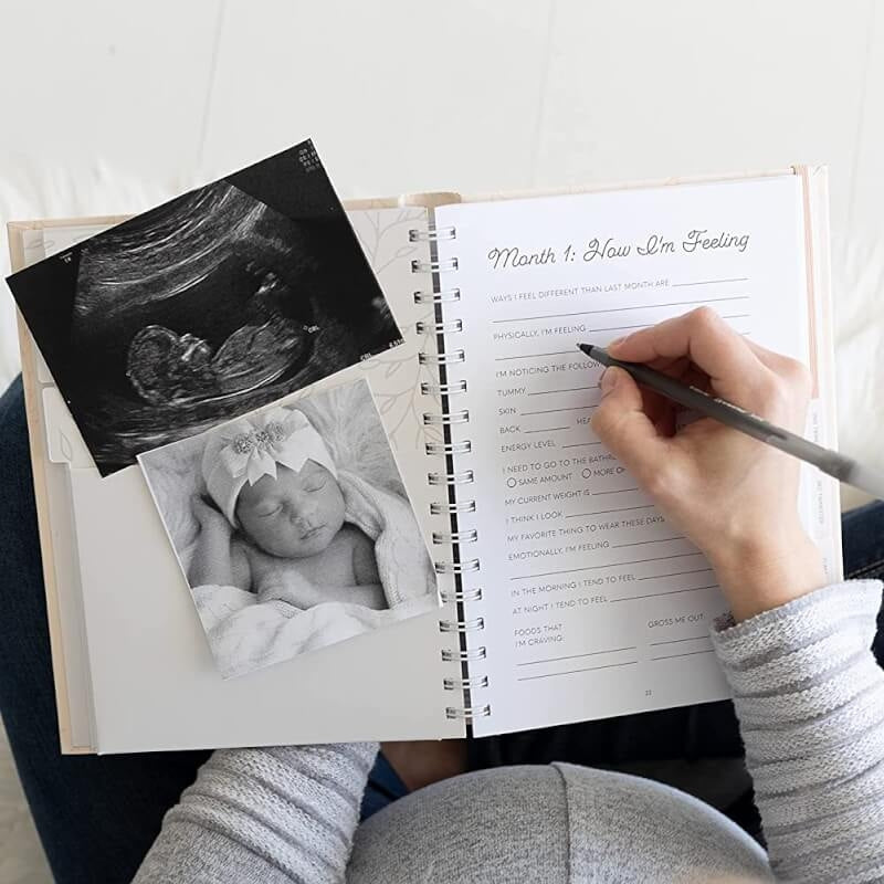 Pregnancy Journal - Blush