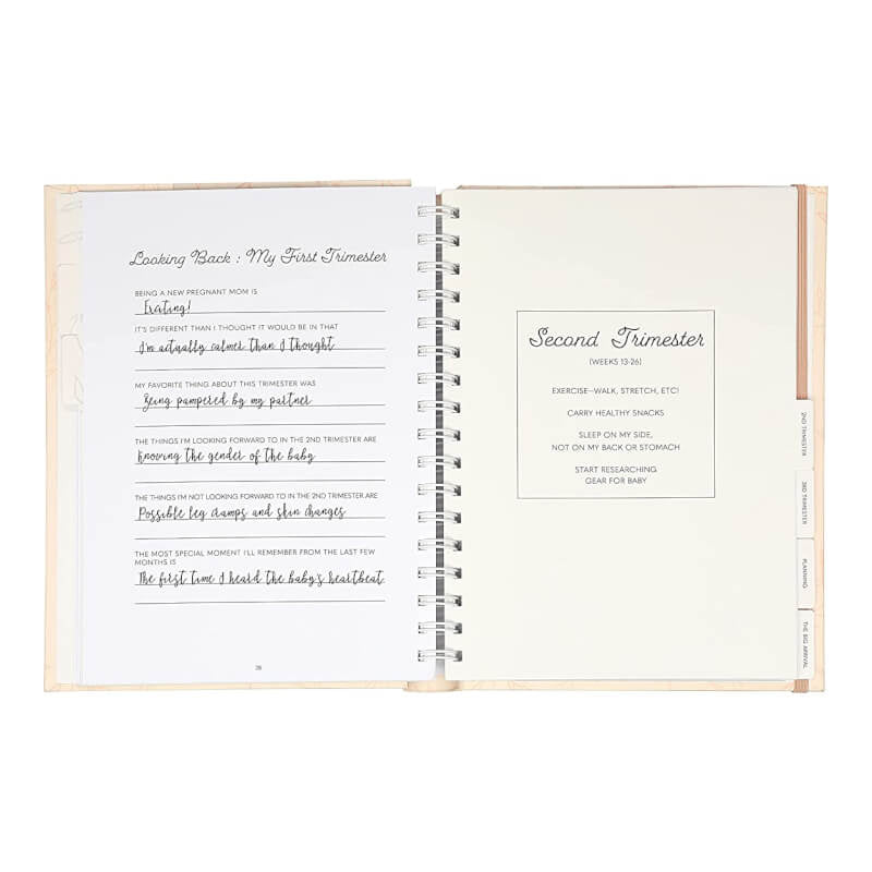 Pearhead Pregnancy Journal - Blush