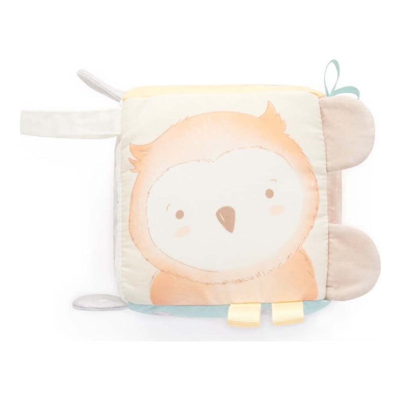 Purebaby Sensory Cube