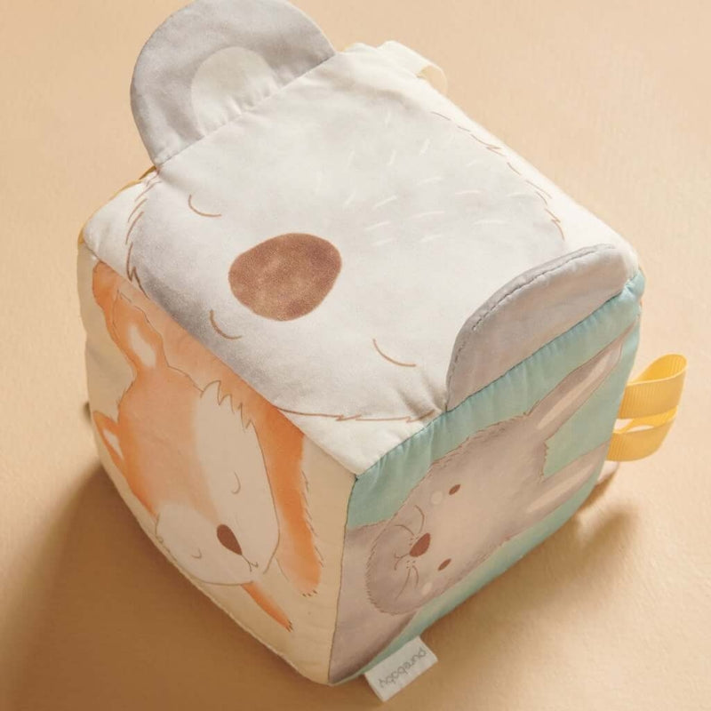 Purebaby Sensory Cube