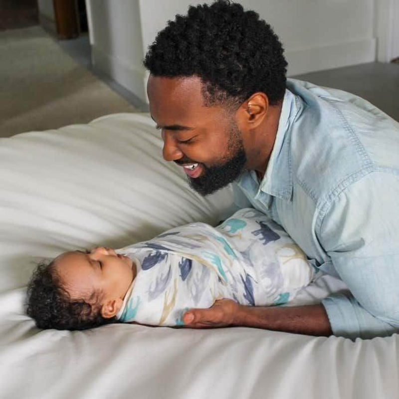 aden + anais Silky Soft Swaddles 3-Pack - Expedition