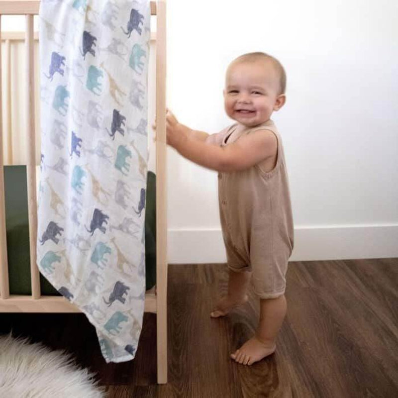 aden + anais Silky Soft Swaddles 3-Pack - Expedition